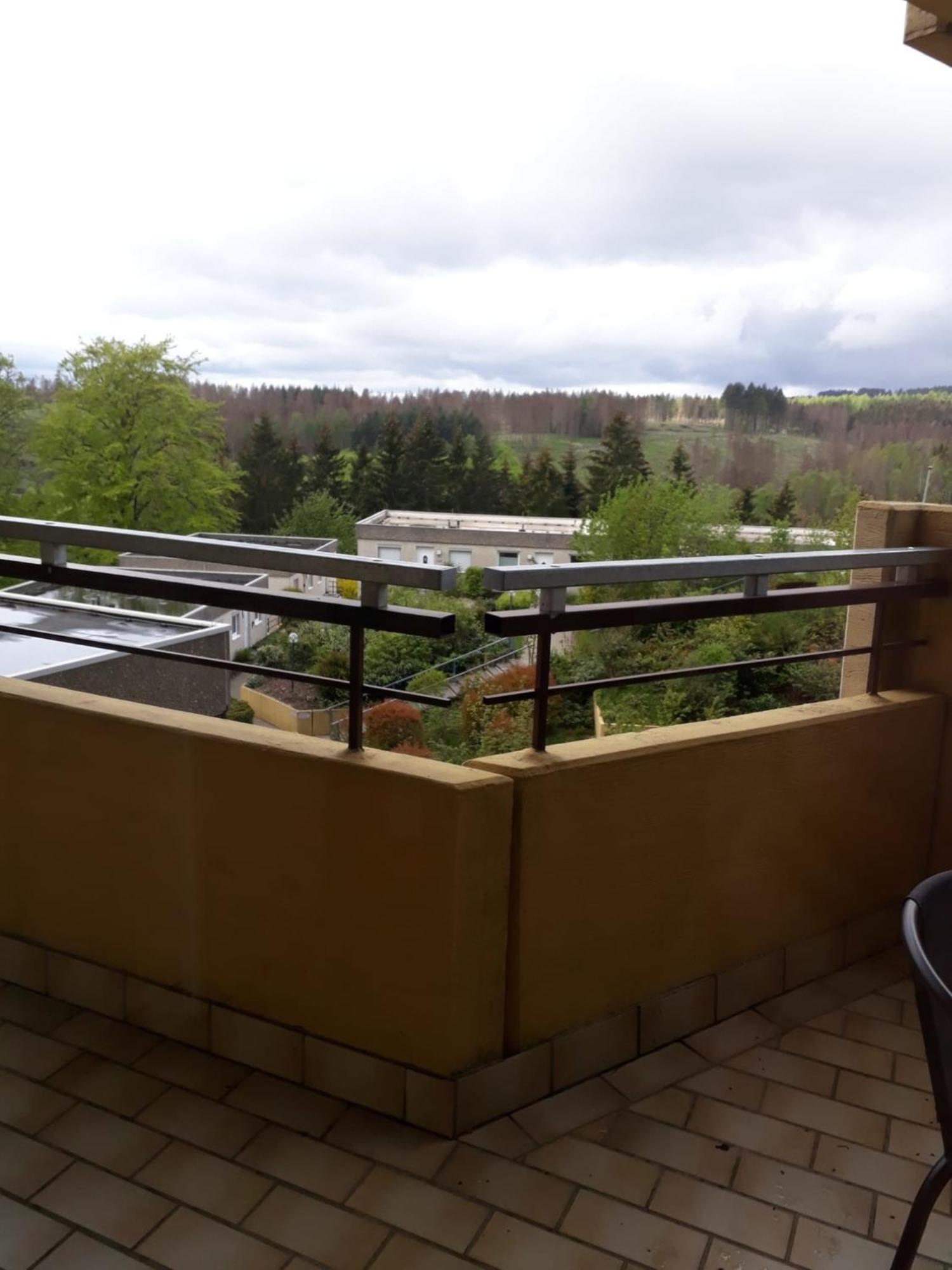 Fewo Romy Braunlage Bagian luar foto