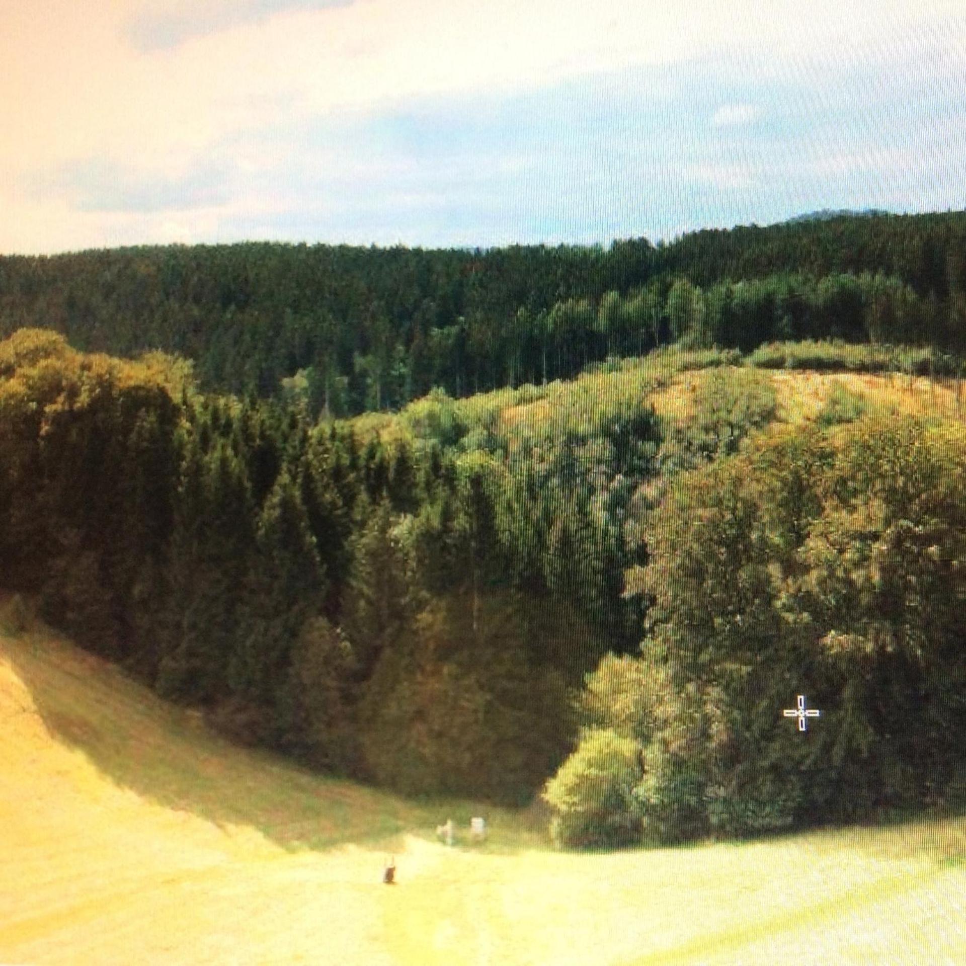 Fewo Romy Braunlage Bagian luar foto