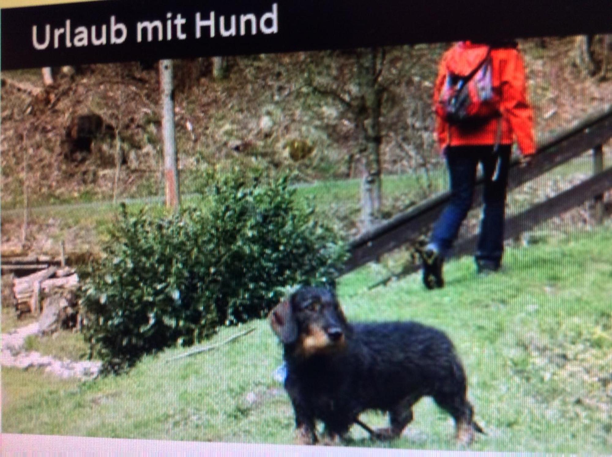 Fewo Romy Braunlage Bagian luar foto